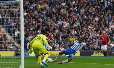 Danny Welbeck Celebrates Scoring