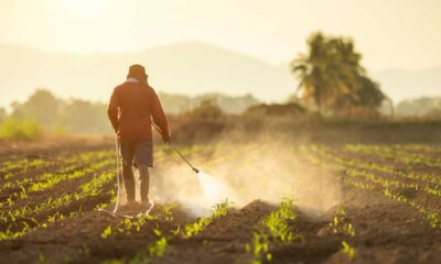 Farmers Spraying Chemicals