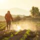 Farmers Spraying Chemicals