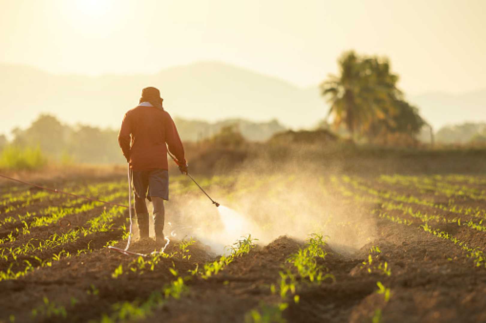 Farmers Spraying Chemicals