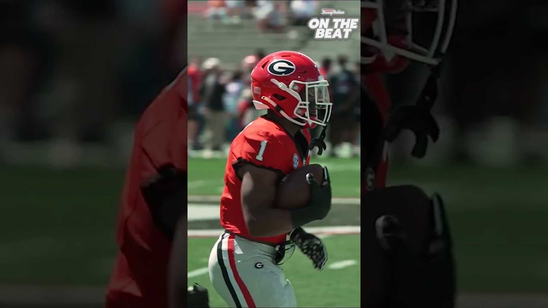 Georgia Bulldogs Football Team