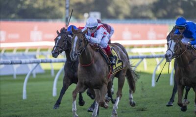 Giga Kick Returns To The Track After Injury