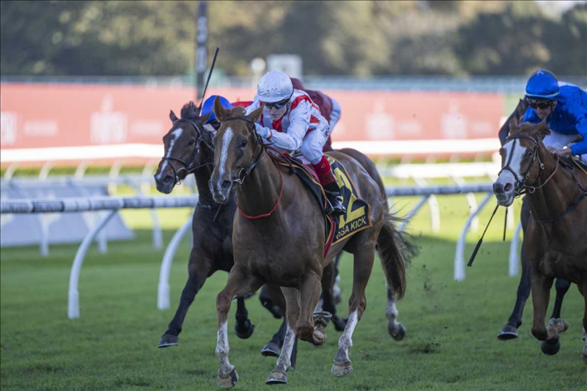 Giga Kick Returns To The Track After Injury