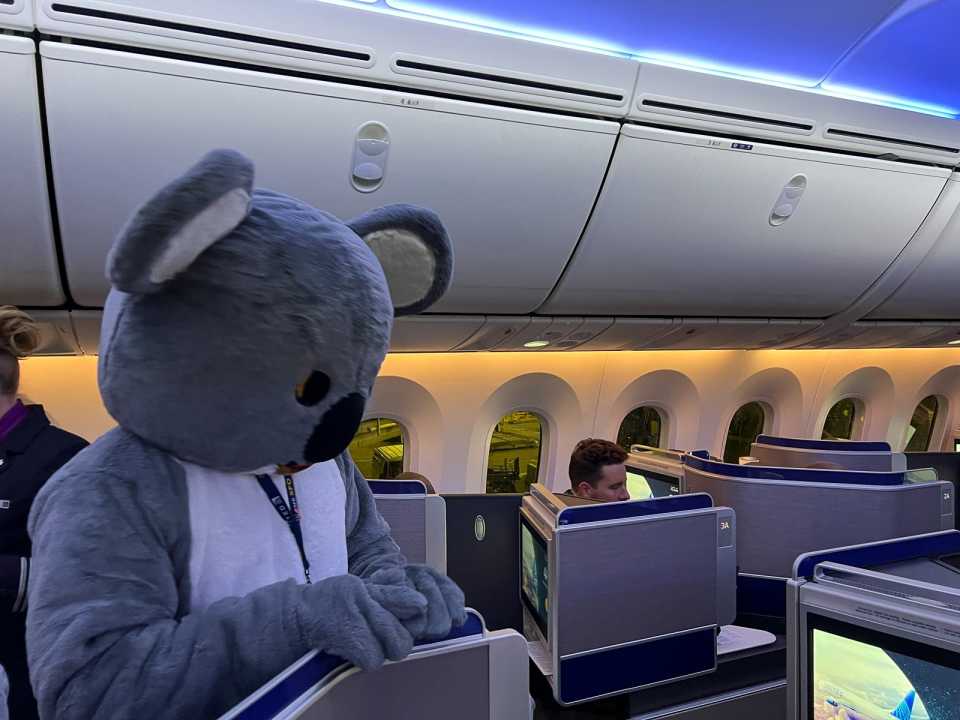 Koala Airlines Aircraft Landing In Australia