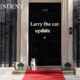 Larry The Cat At Downing Street