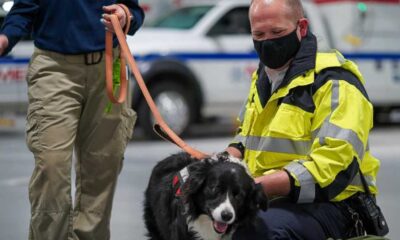 Miami Dade Fire Rescue Dog Training Event