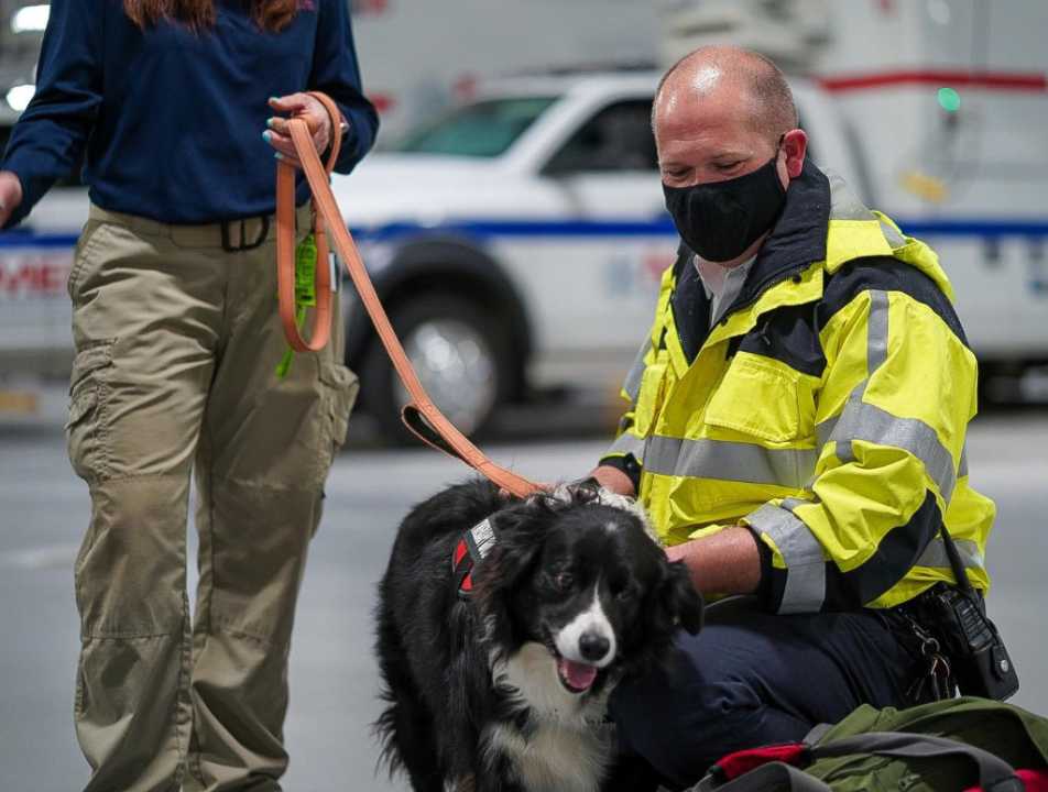 Miami Dade Fire Rescue Dog Training Event