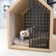 Modern Dog Homes Designs