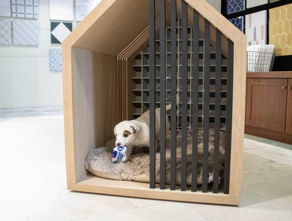 Modern Dog Homes Designs