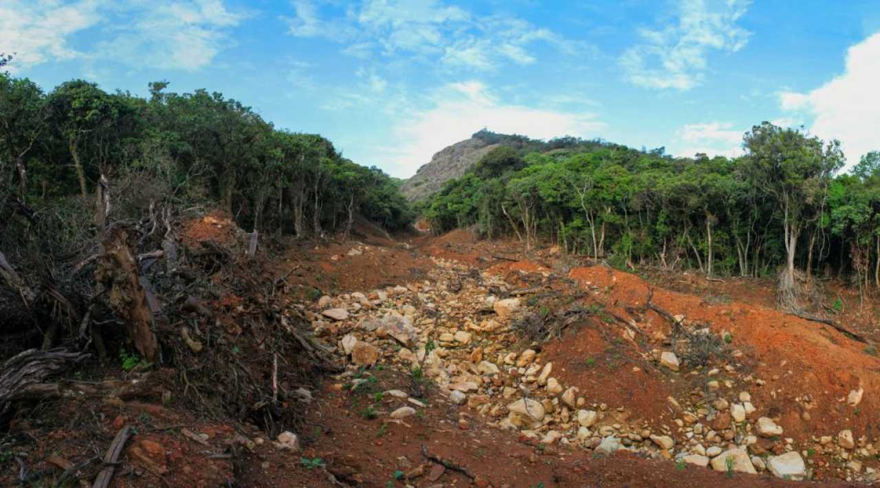 Nilgiris Forest Loss