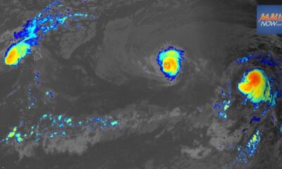 Tropical Storm Gilma Hector Hone