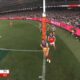 2024 Afl Grand Final Sydney Swans Vs Brisbane Lions