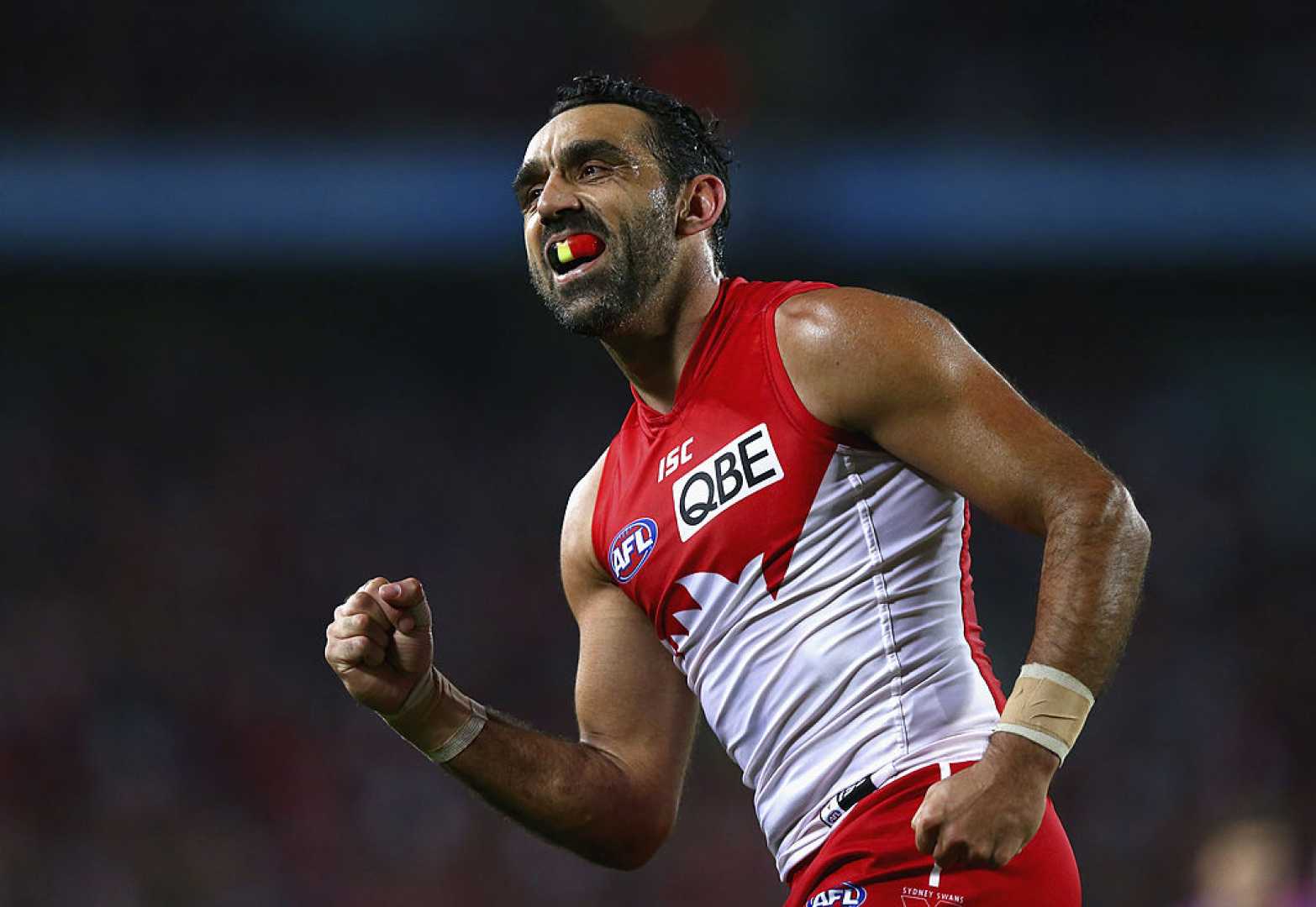 Adam Goodes Racism 2013