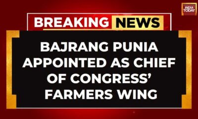 Bajrang Punia Congress Appointment