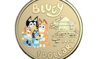 Bluey Collectible Coins