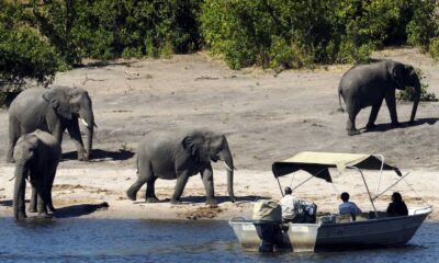 Botswana Safari Tourism