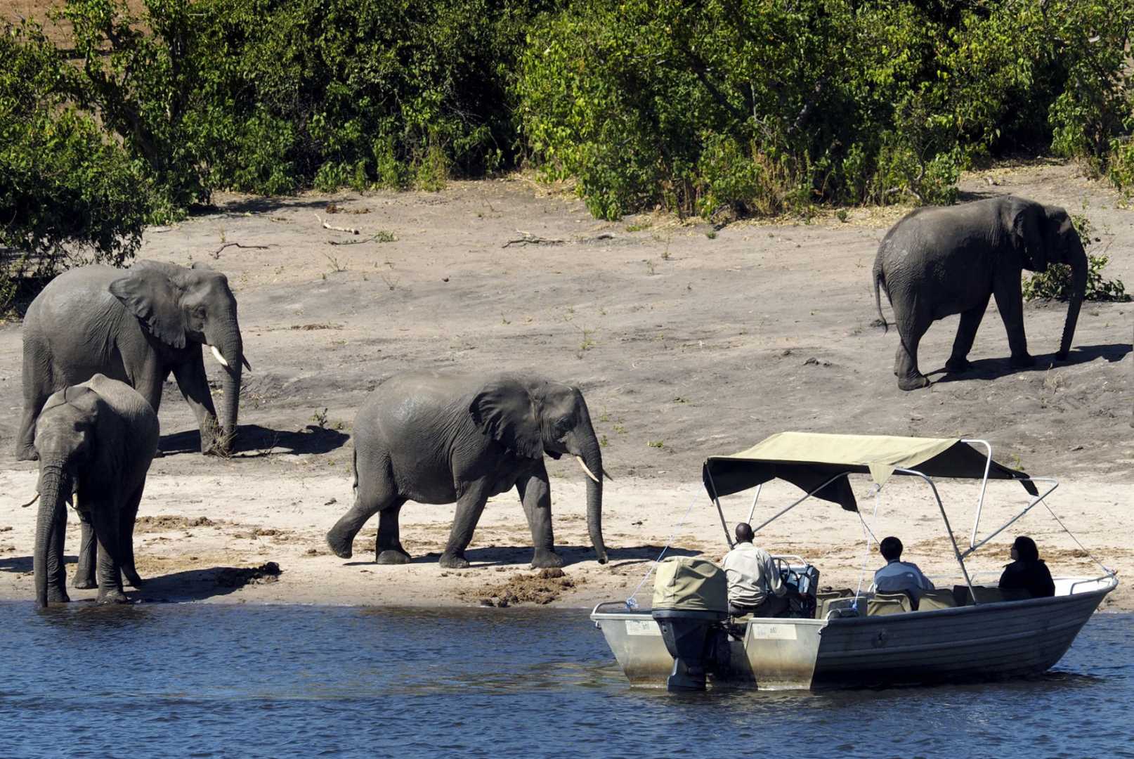 Botswana Safari Tourism