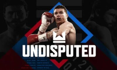 Boxing Video Game Undisputed