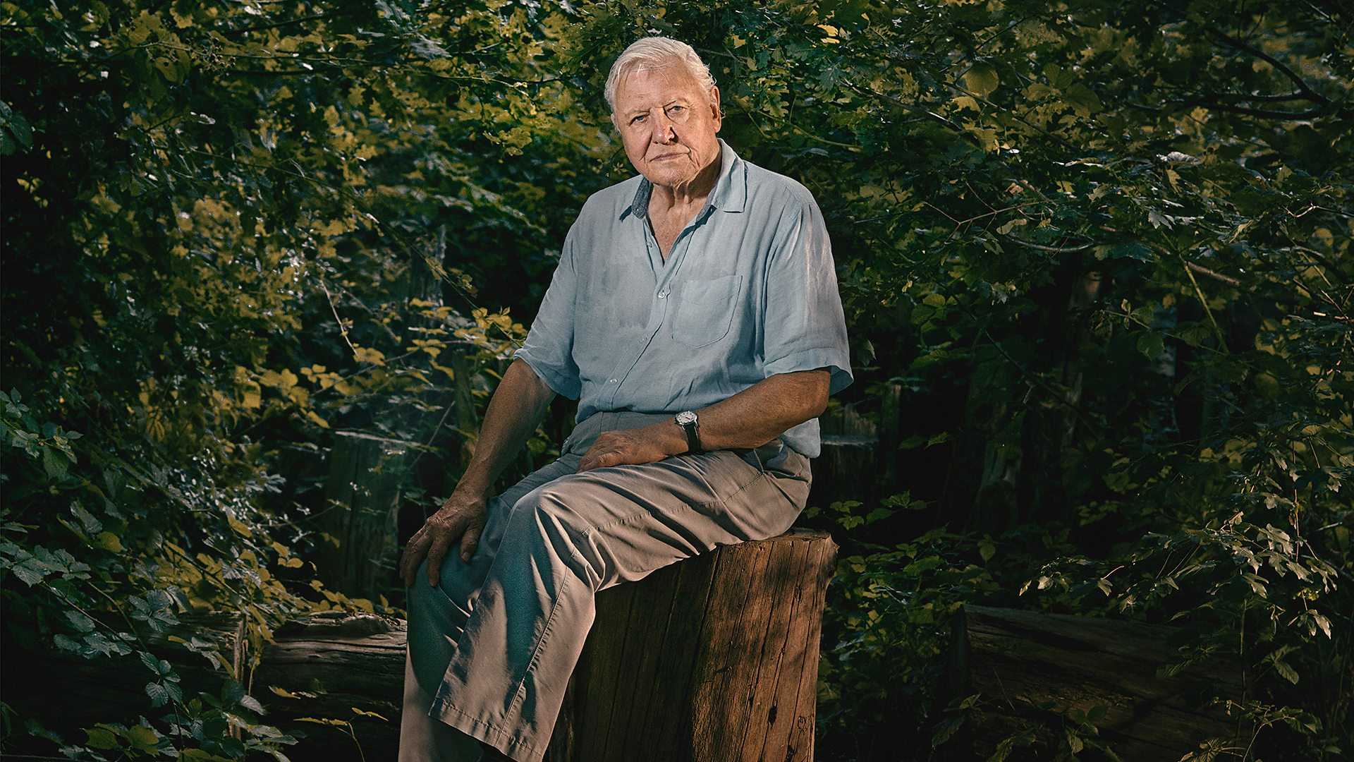 David Attenborough Wildlife Asia