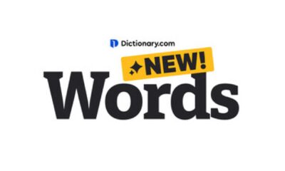 Dictionary Word Drop Updates