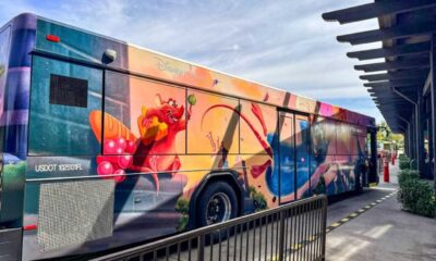 Disney World Transportation