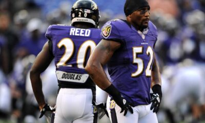 Ed Reed Baltimore Ravens Defense