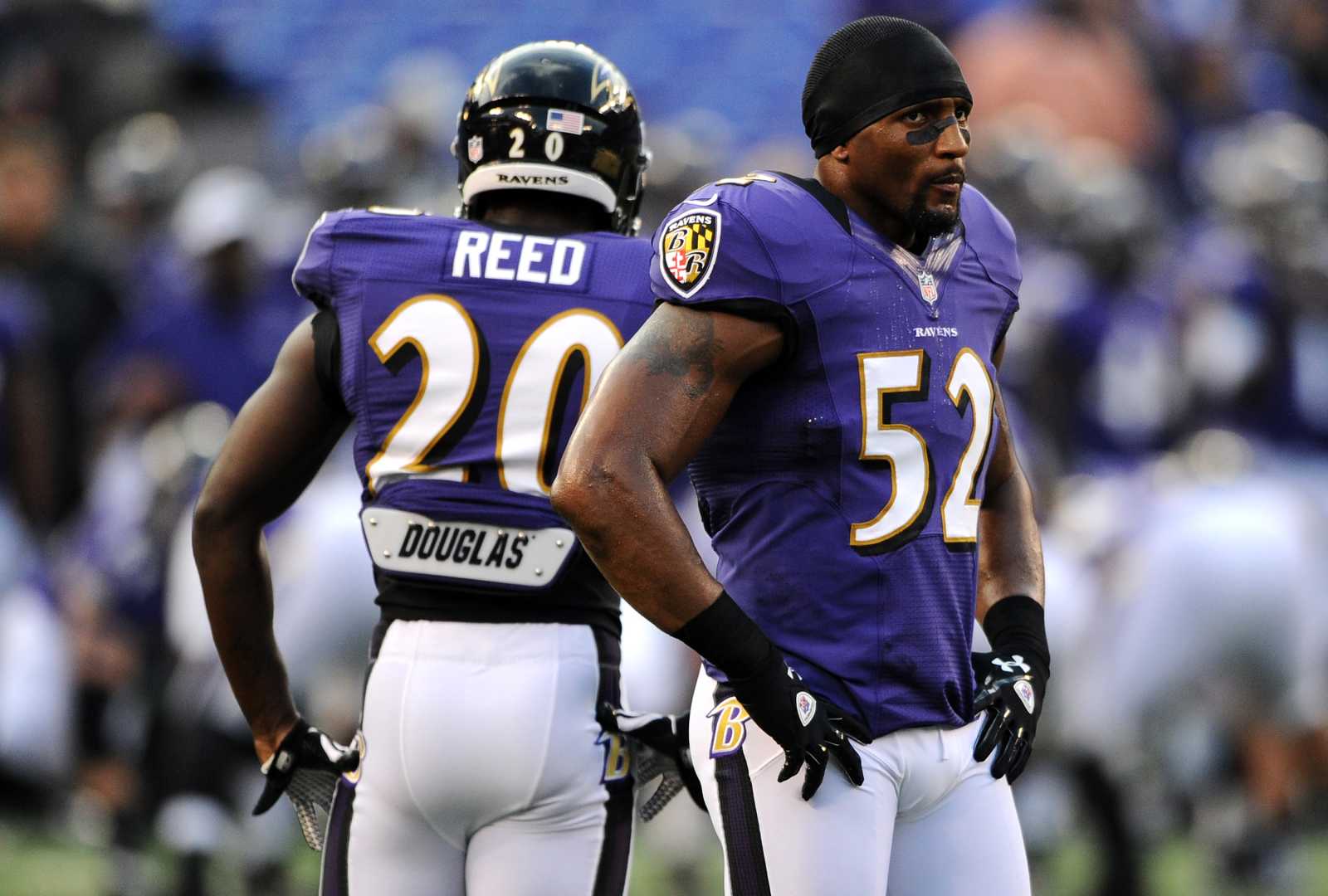 Ed Reed Baltimore Ravens Defense