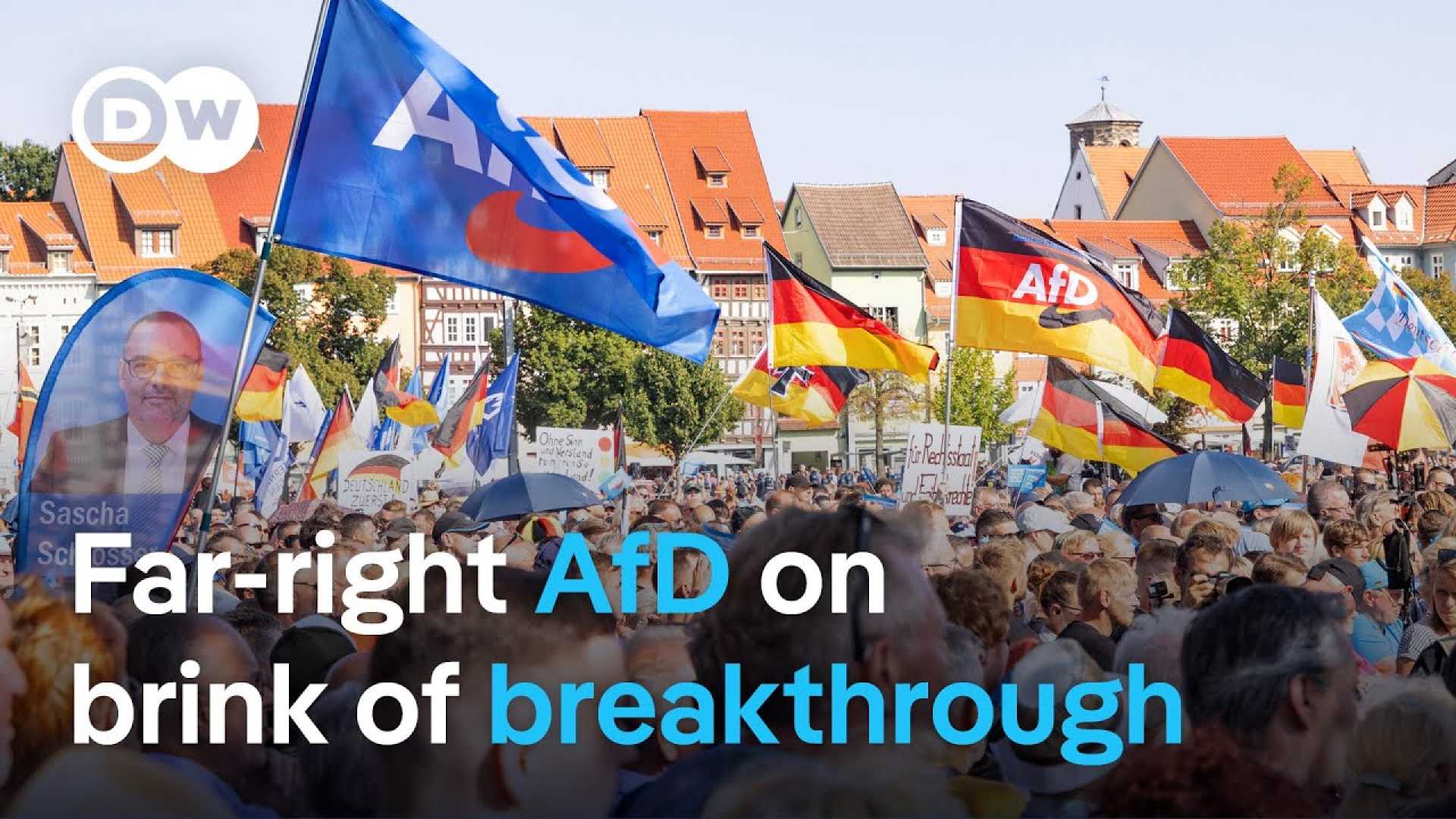 Germany Elections Afd Victory