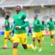 Golden Arrows Vs Marumo Gallants Match