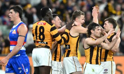 Hawthorn Afl Team Victory Celebration