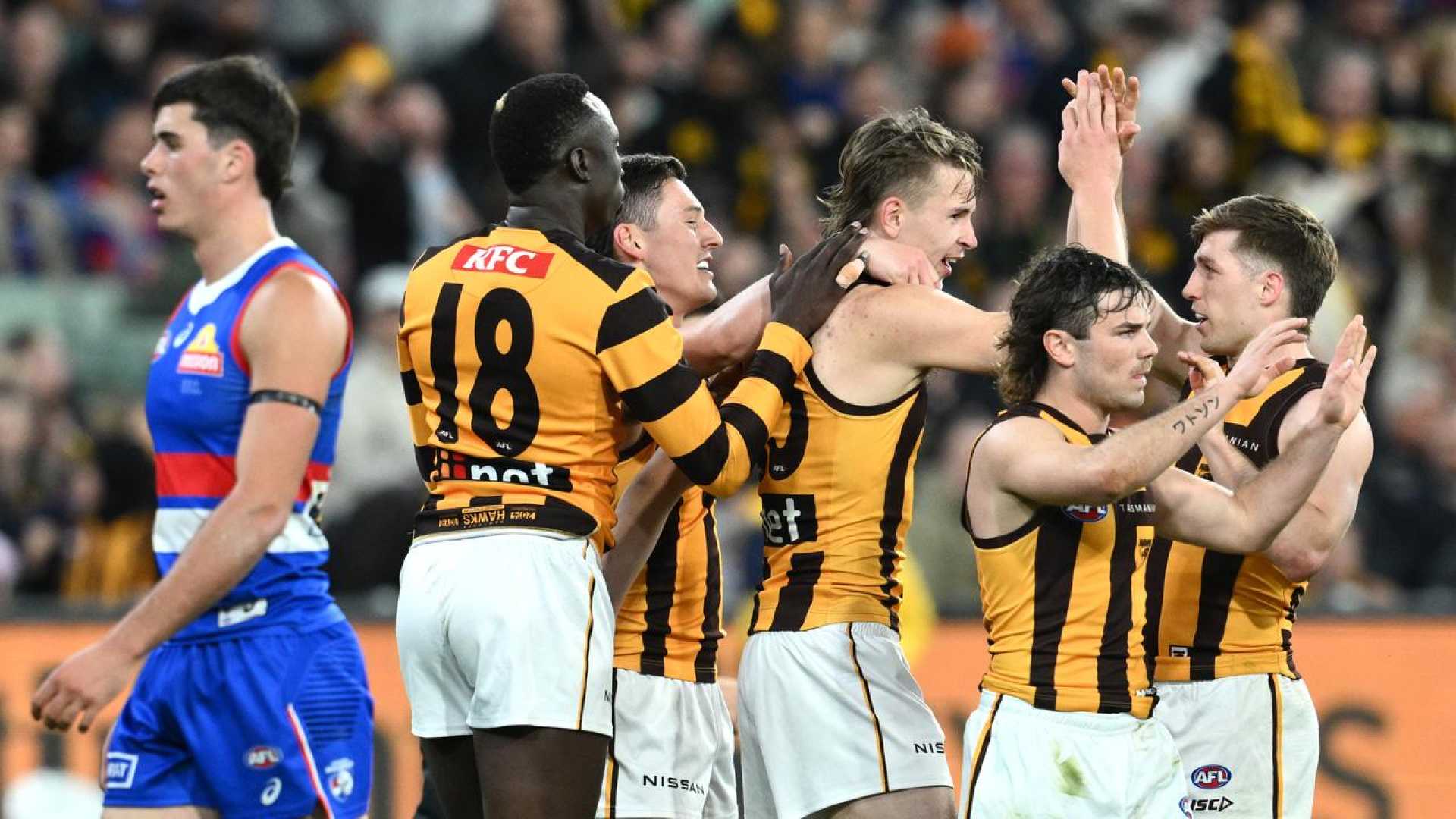 Hawthorn Afl Team Victory Celebration