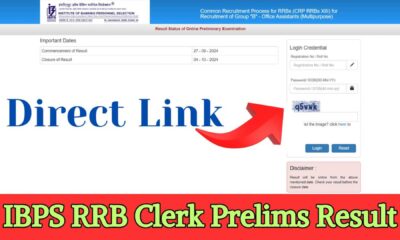 Ibps Rrb Clerk Result 2024