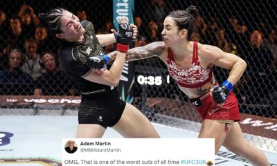 Irene Aldana Vs Norma Dumont Ufc Fight