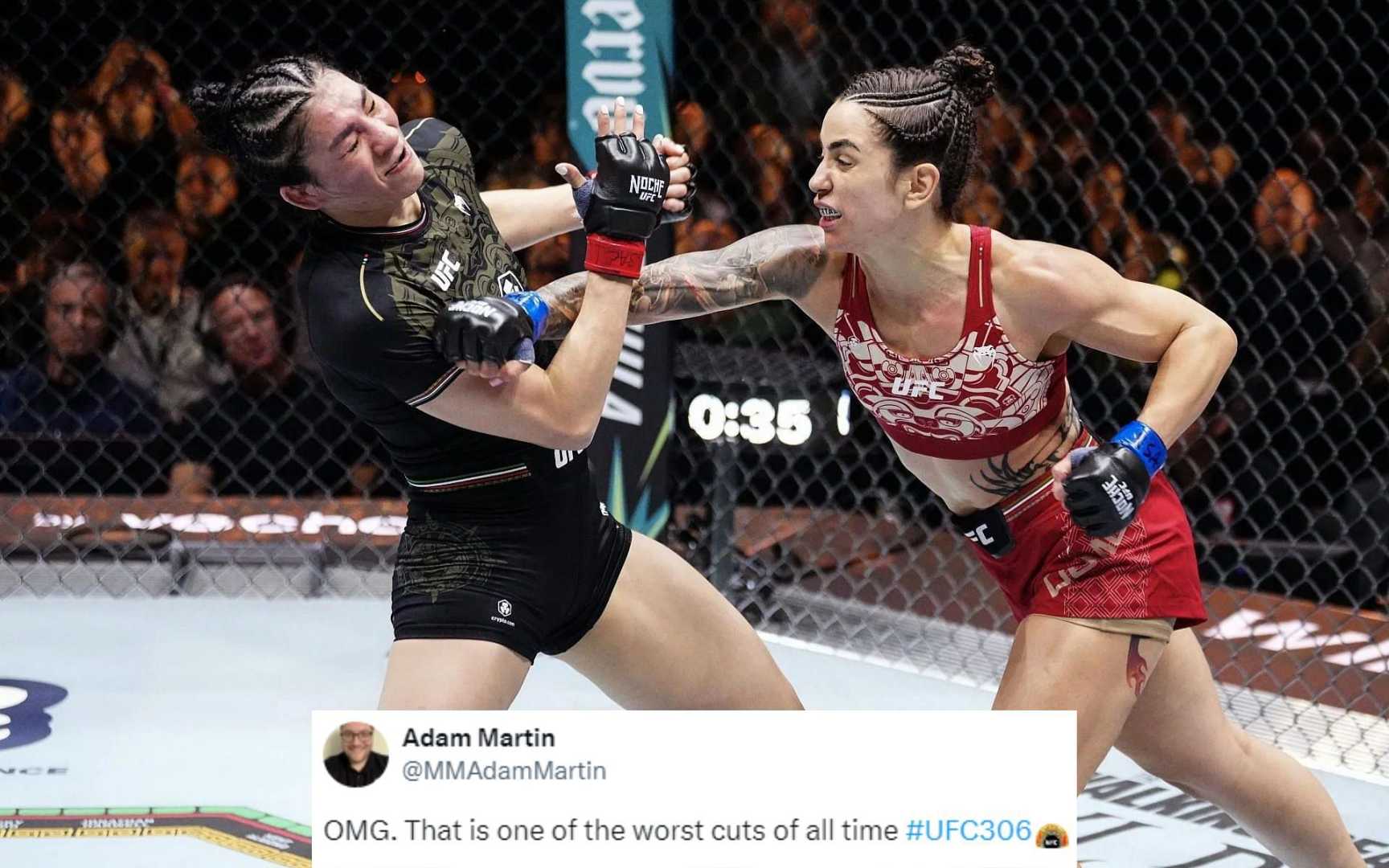 Irene Aldana Vs Norma Dumont Ufc Fight