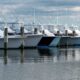 Ncbba Red Drum Tournament