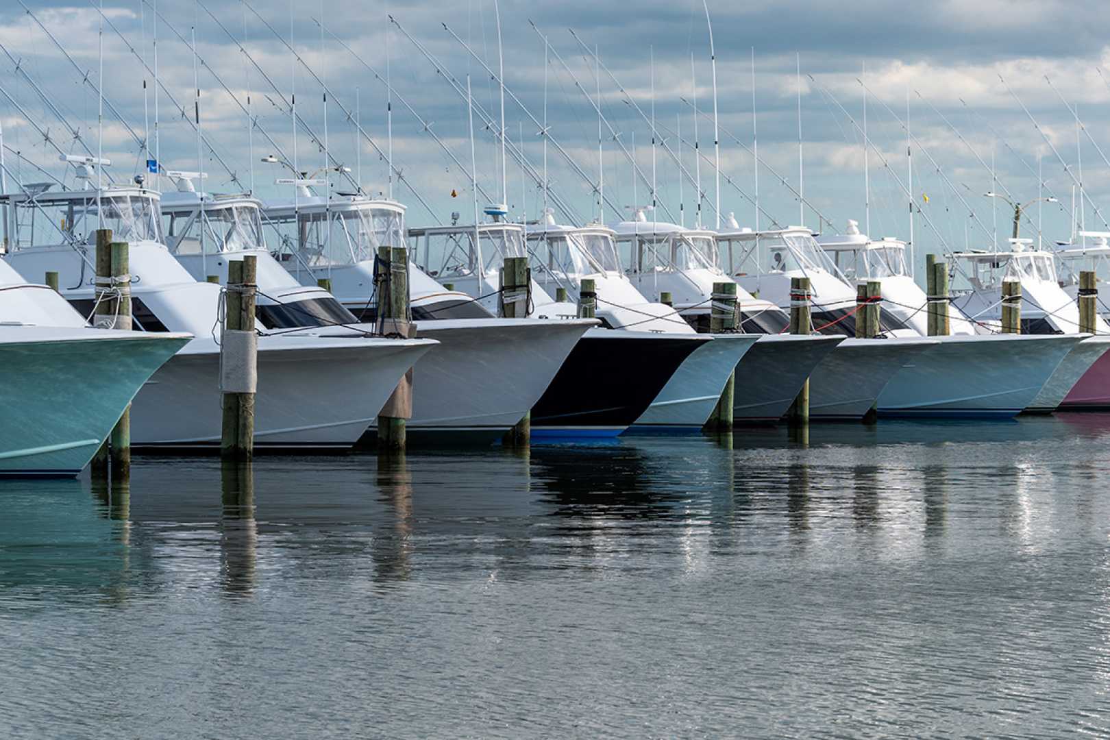 Ncbba Red Drum Tournament