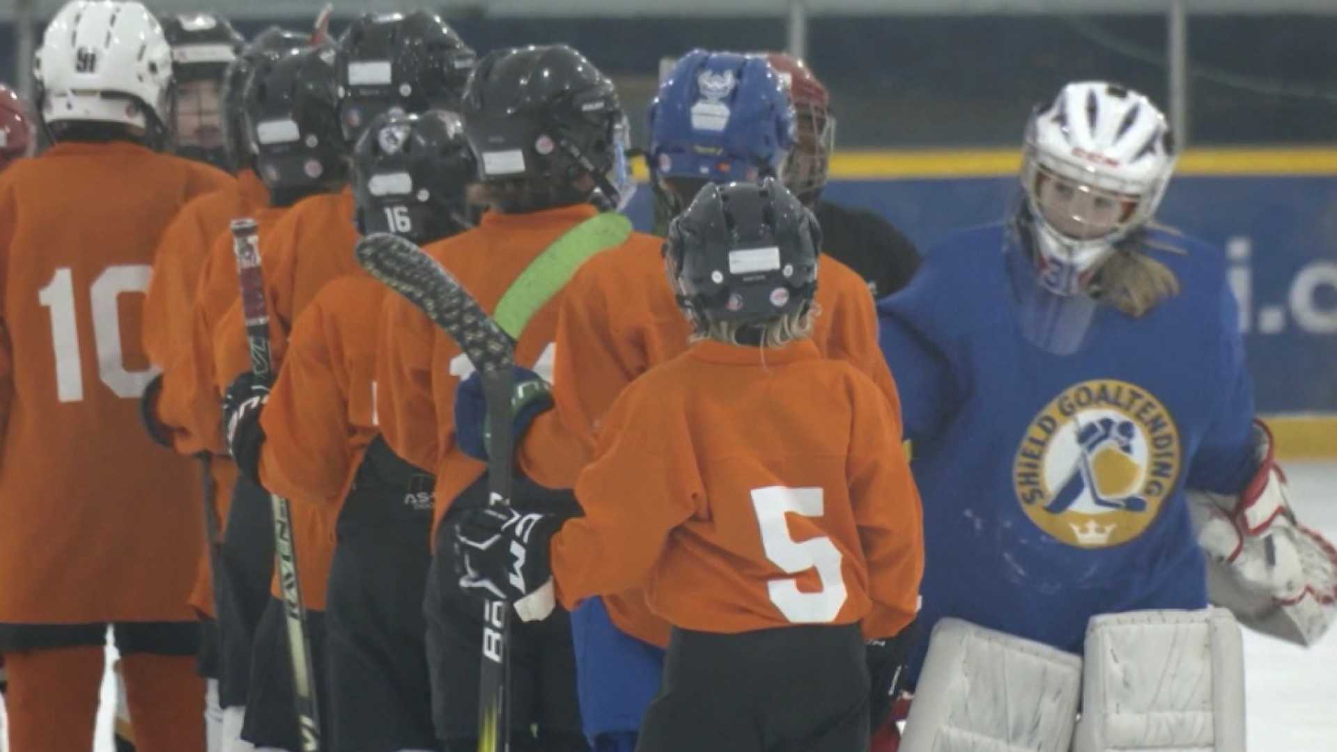 Newfoundland And Labrador School Sports