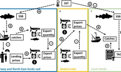 Norwegian Cod Farming