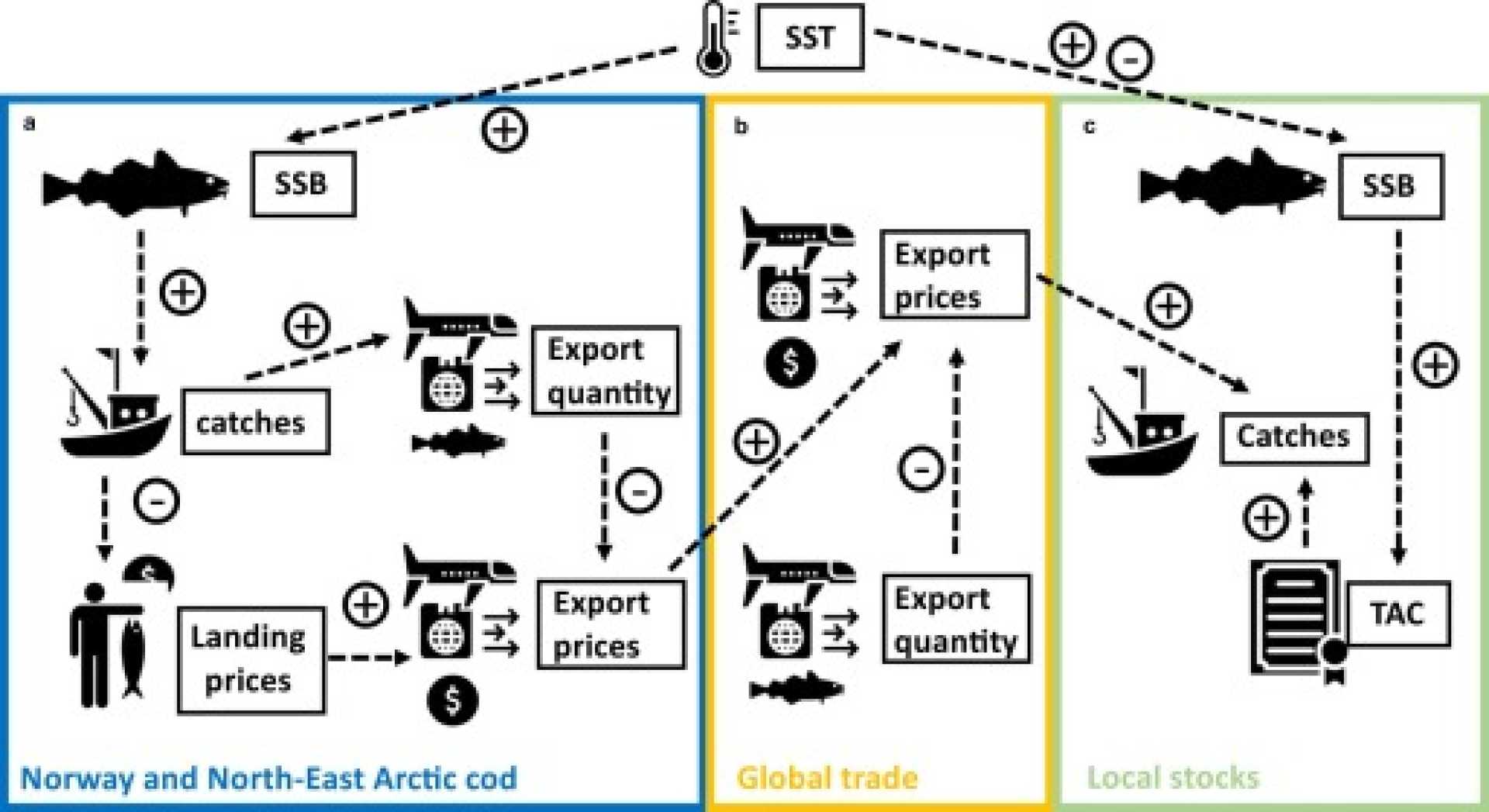 Norwegian Cod Farming