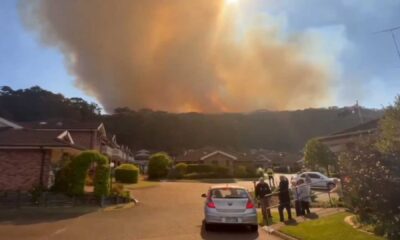 Oxford Falls Bushfire 2024