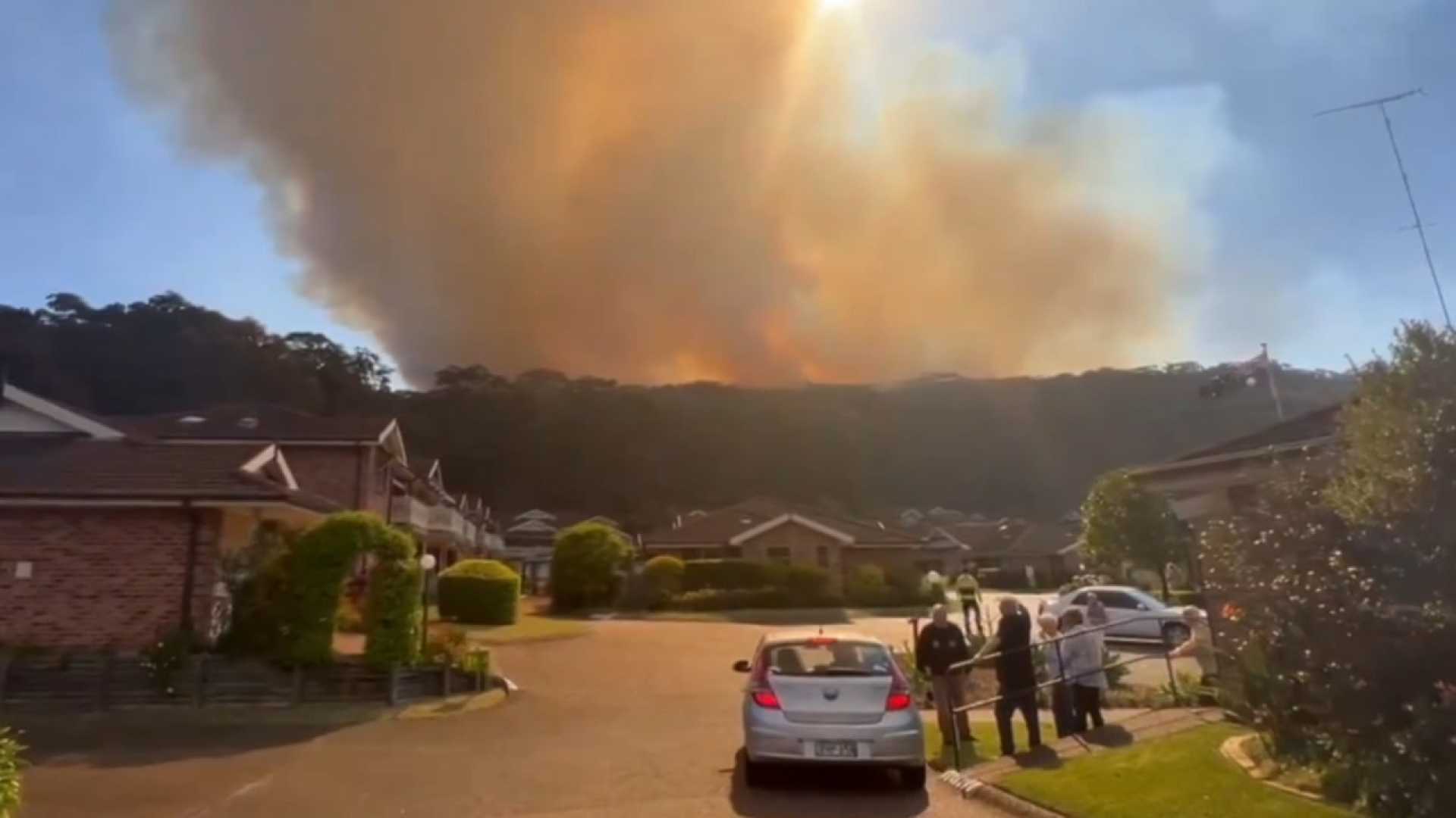 Oxford Falls Bushfire 2024