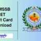 Rajasthan Rsmssb Cet Admit Card 2024