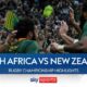 Rugby Championship South Africa Vs Argentina 2024