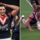 Sydney Roosters Nrl Match