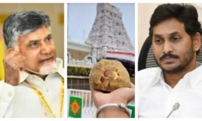 Tirupati Laddu Temple Controversy