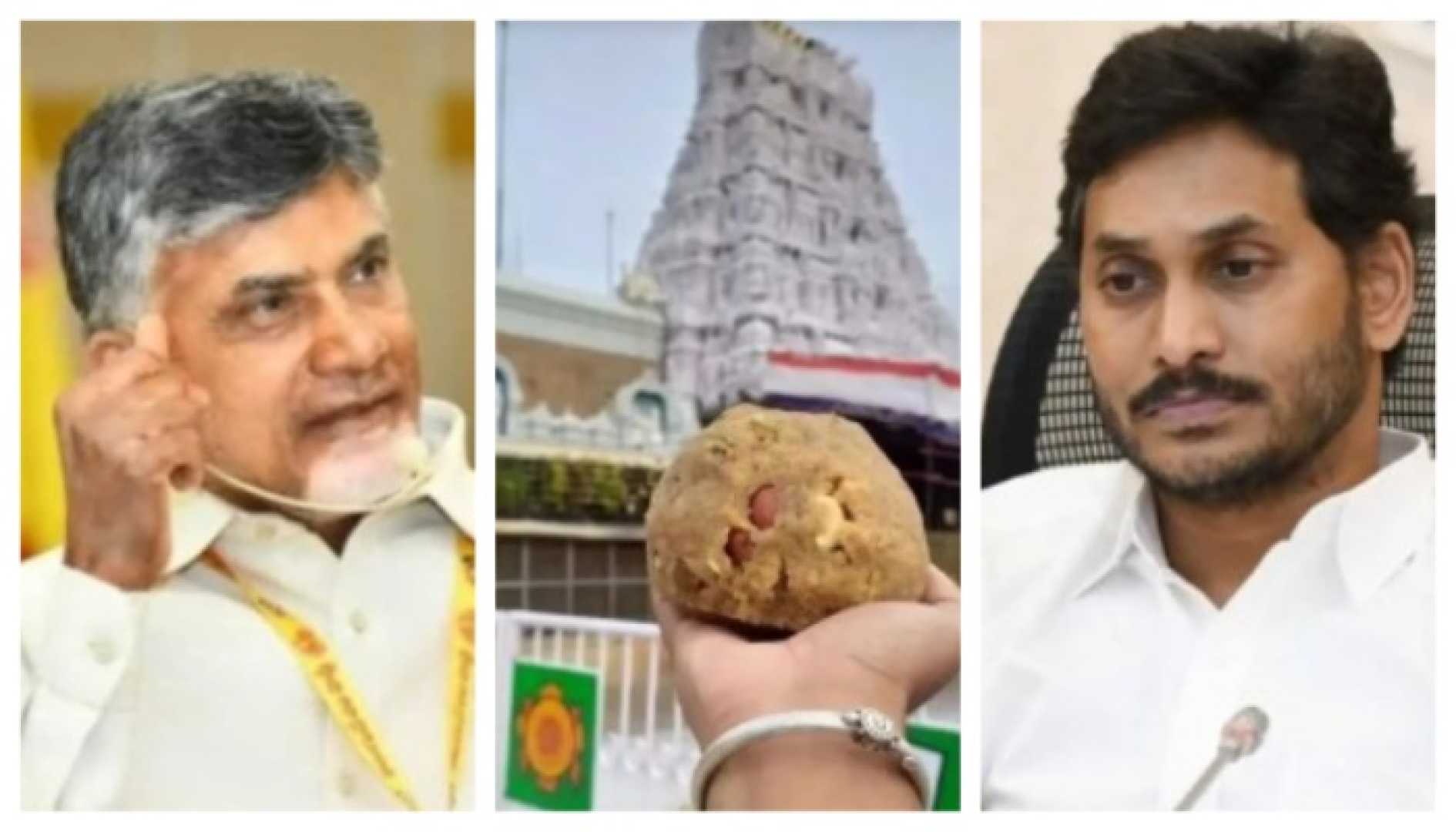 Tirupati Laddu Temple Controversy