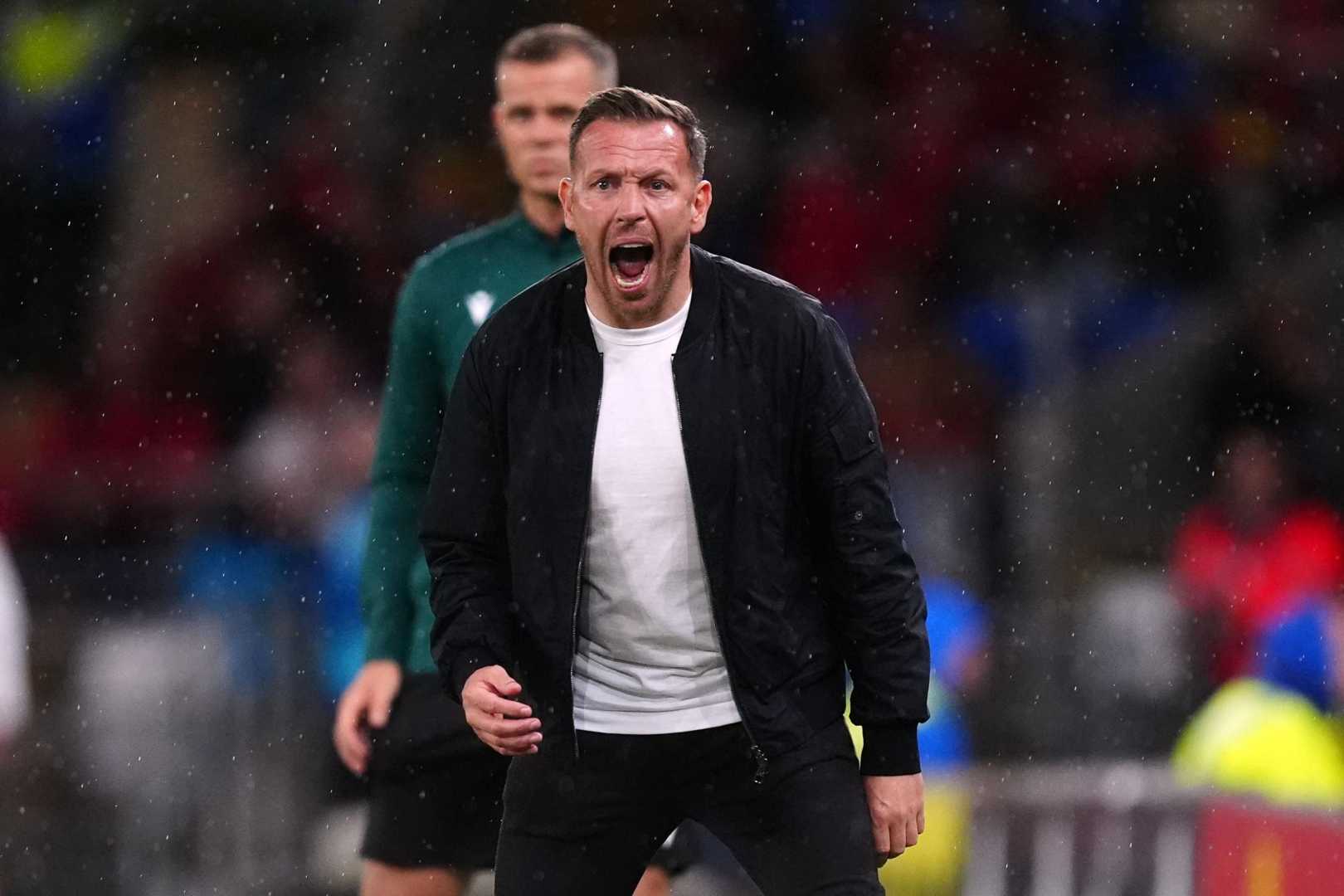 Wales Football Match Celebration