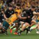 Wallabies Vs All Blacks Bledisloe Cup 2024