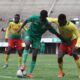 Zimbabwe Cameroon Afcon Qualifiers Match