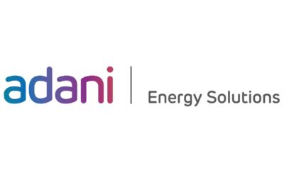 Adani Enterprises Qip Investors